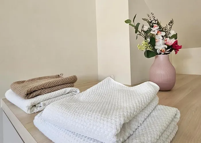 Con Cocina En Гент